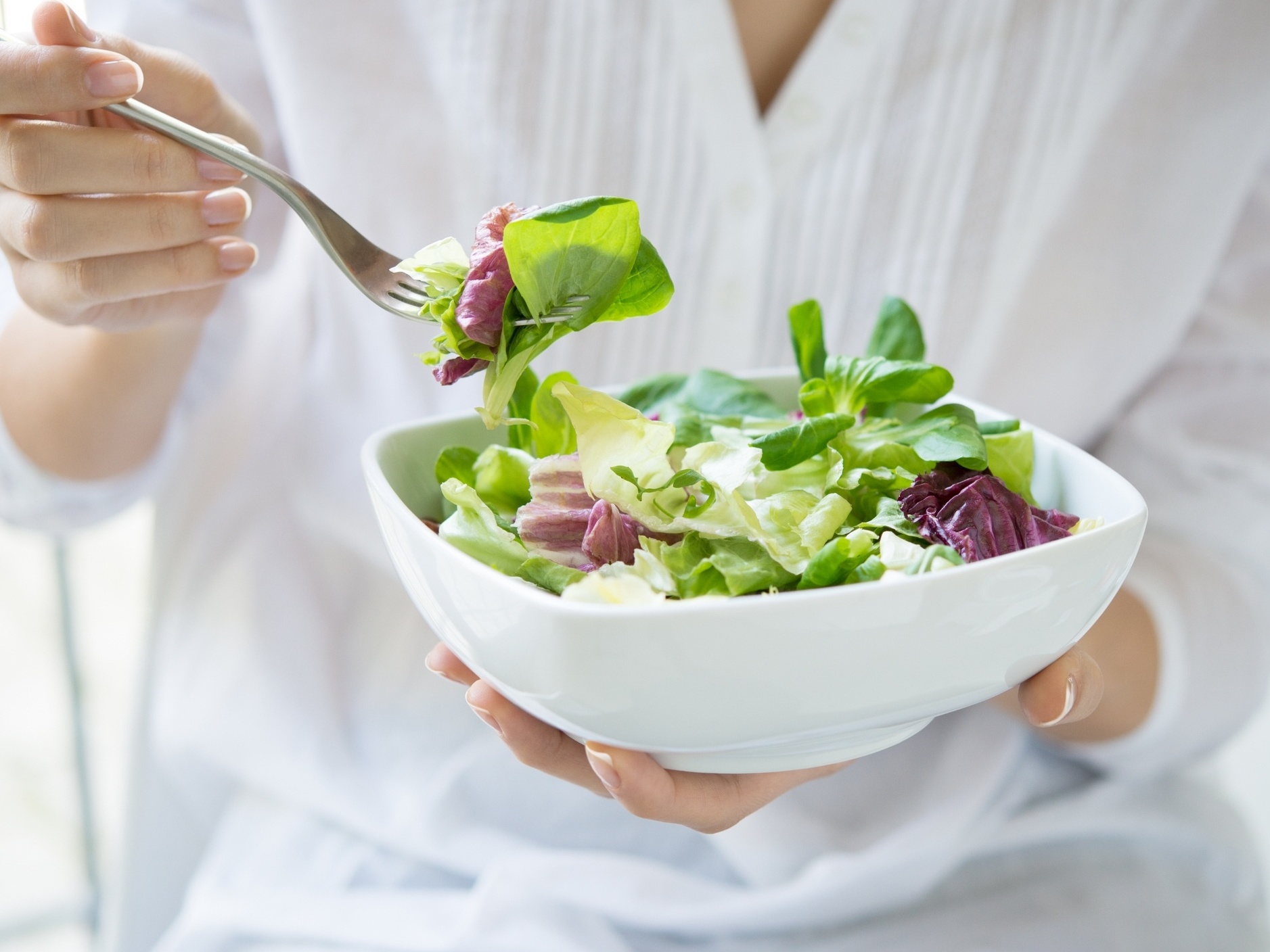 Comida Fitness para Emagrecer de Forma Prática e Saborosa - Novidade  Saudável