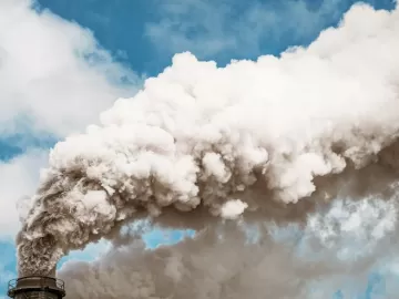 Qual é o papel das emissões de carbono na crise climática?