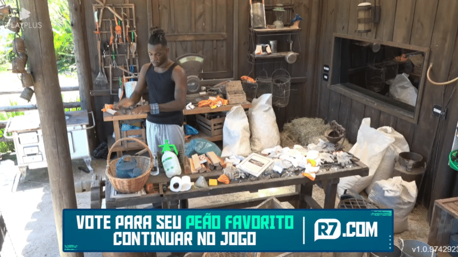 A Fazenda 2022: Pelé comemora superação do medo por galinhas - Reprodução/Playplus