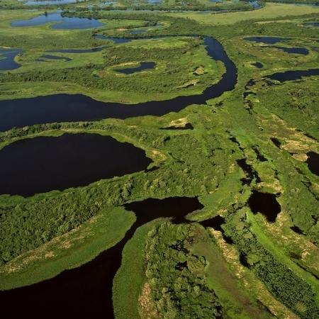 O aprofundamento do leito do Rio Paraguai pelas obras de dragagem faria a água escorrer mais rapidamente para fora do Pantanal, secando a planície e dificultando a própria navegação