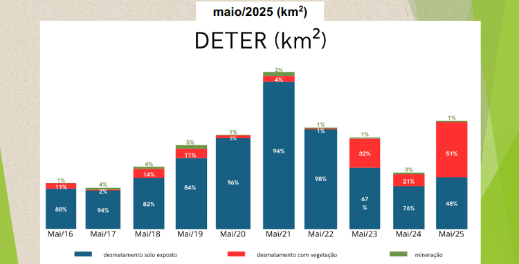 Gráfico mostra participação de incêndios no desmatamento da Amazônia nos meses de maio Gráfico mostra participação de incêndios no desmatamento da Amazônia nos meses de maio