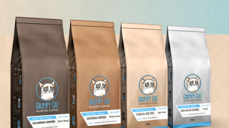 Empresa usou sem autorização a marca Grumpy Cat ao lançar café torrado - Reprodução - Reprodução