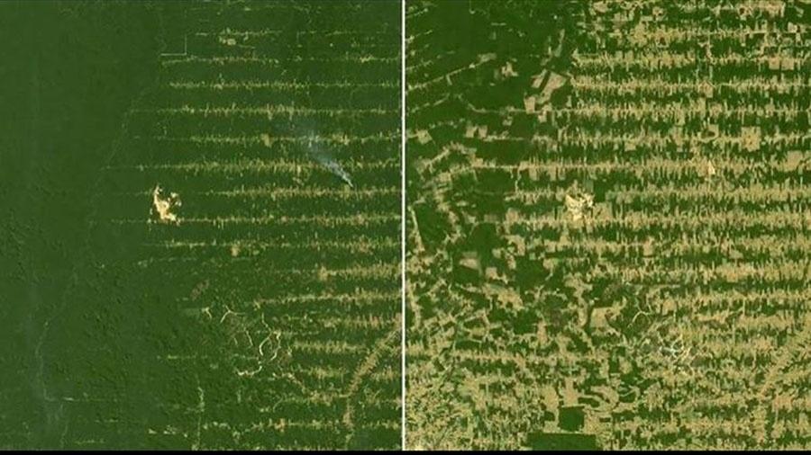 Comparação de área da floresta amazônica em Rondônia em 2006 e 2018 - Reprodução/Instagram