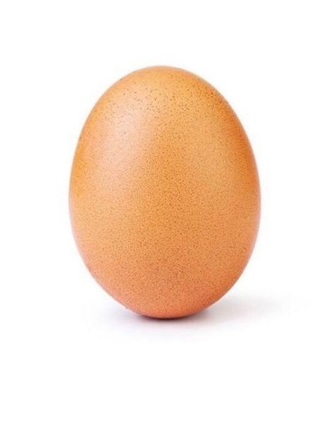 O ovo recordista  - Reprodução/Twitter