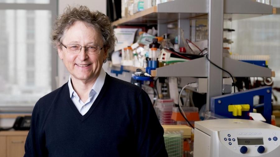 Michel Nussenzweig, em seu laboratório: equipe parou pesquisas com outros vírus para tentar identificar anticorpos que neutralizem o Sars-Cov-2 - Universidade Rockefeller
