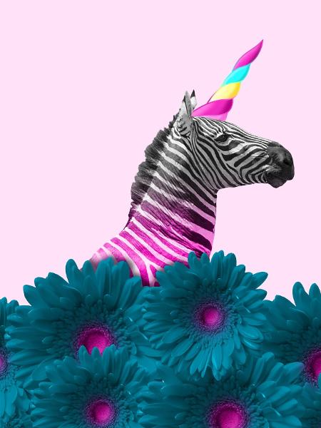 Conceito de start ups "zebra" busca eliminar o mito das empresas "unicórnio" - Getty Images/iStockphoto