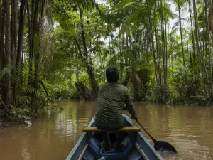 Bioindustrialização é caminho para desenvolvimento sustentável da Amazônia