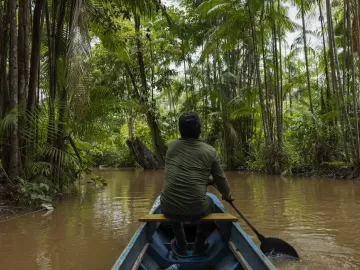 Carlos Nobre: Bioindustrialização é caminho para desenvolvimento sustentável da Amazônia