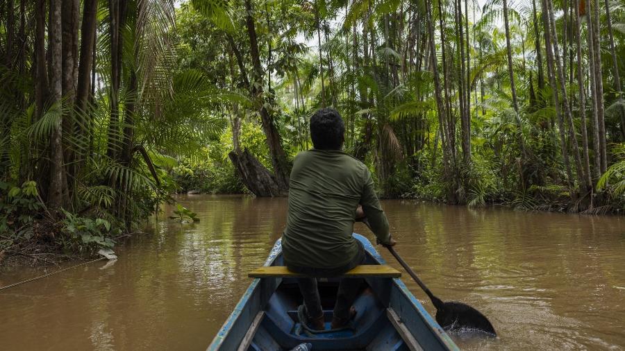 Ribeirinho rema por um igarapé em meio a seu acaizal, na regiao do rio Mujirum, no Pará