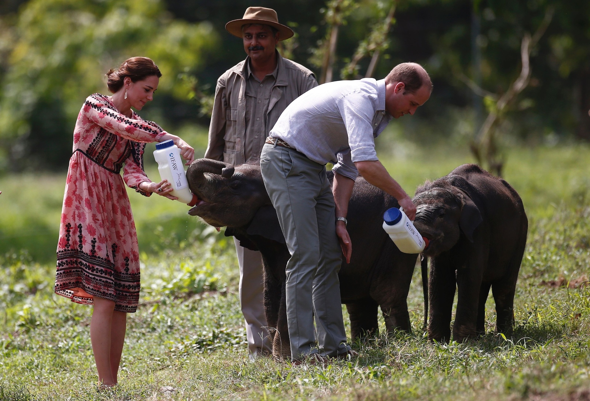 13.abr.2016 - Kate e William, os duques de Cambridge, alimentam elefantes durante visita ao Parque Nacional Kaziranga, na Índia - AFP PHOTO/POOL/ADNAN ABIDI