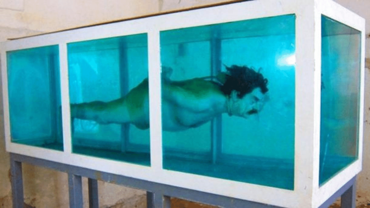 David ?erný, "Shark", 2005 - Reprodução