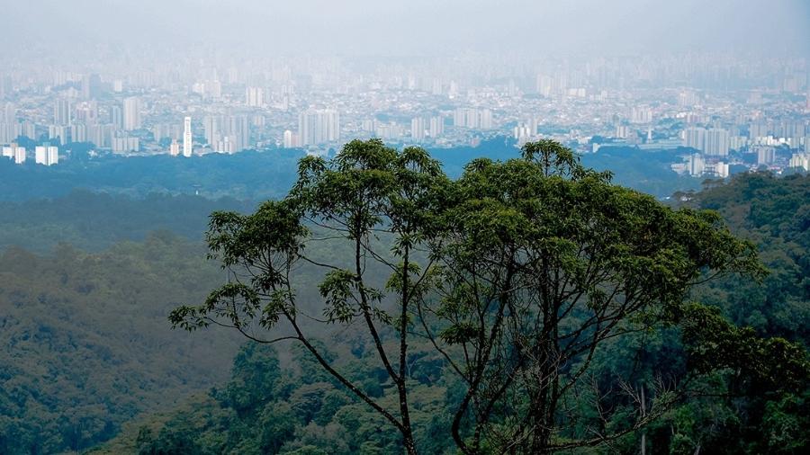 Trilha do Núcleo Pedra Grande do Parque Estadual da Cantareira e mirante da cidade de São Paulo - Cecília Bastos/USP Imagens
