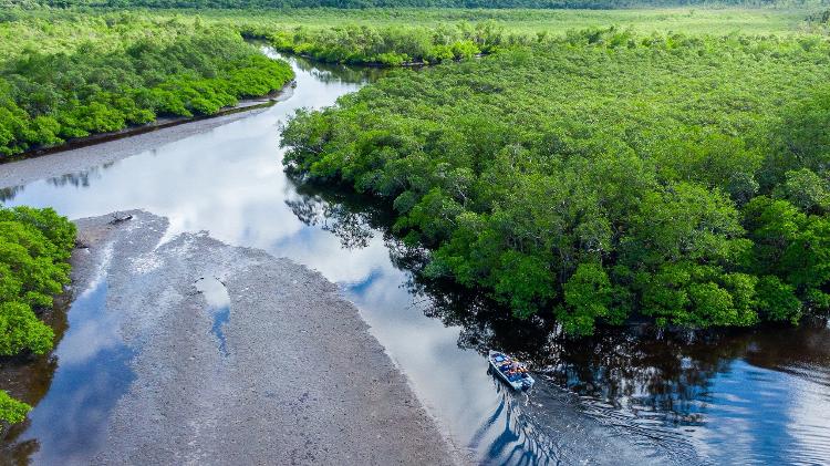 Área de manguezal na Ilha de Superagui, no litoral do Paraná, considerada um dos ecossistemas mais ricos em biodiversidade do país Área de manguezal na Ilha de Superagui, no litoral do Paraná, considerada um dos ecossistemas mais ricos em biodiversidade do país