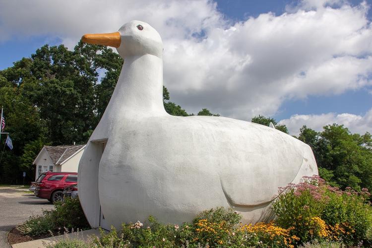 The Big Duck, em Flanders, Nova York