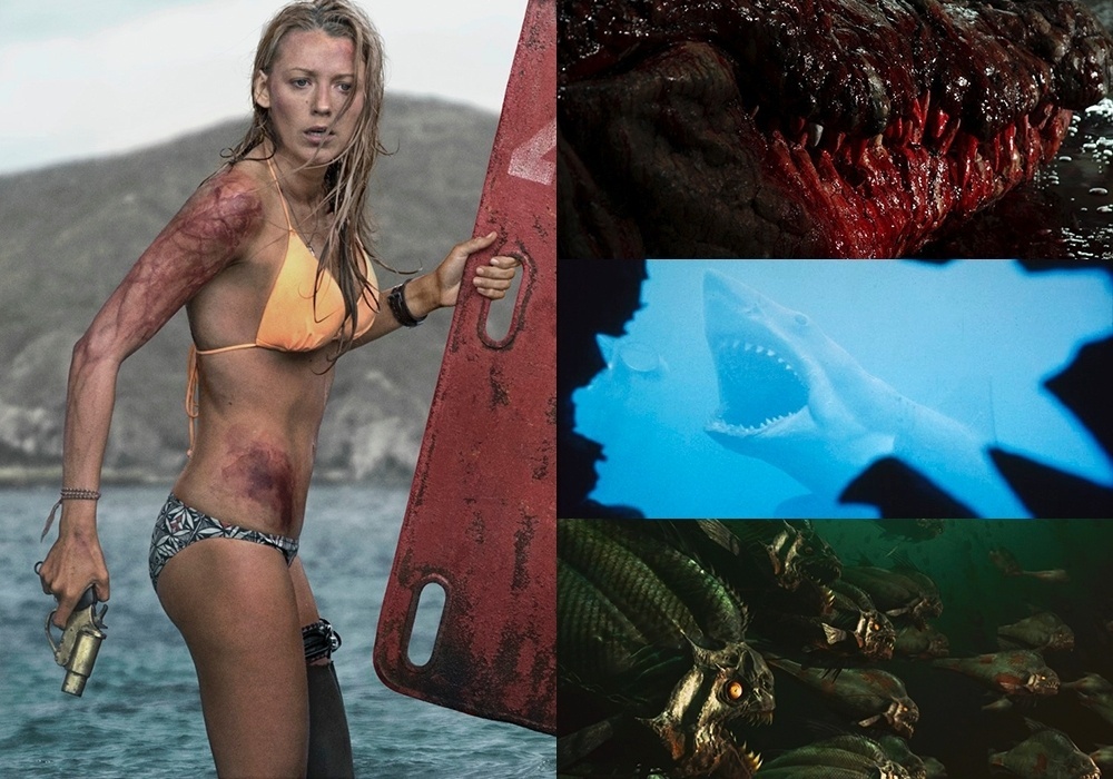 Cenas dos filmes "Águas Rasas" (2016) , "Pânico no Lago: O Capítulo Final" (2012), "Tubarão" (1975) e "Piranha 3D" (2010) - Montagem/Reprodução