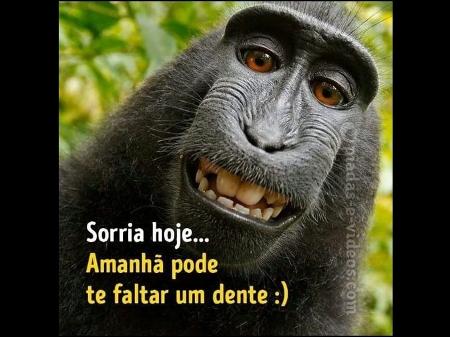 Sorria hoje, ninguém conhece o amanhã - BOL Memes Sorria hoje, ninguém conhece o amanhã - BOL Memes