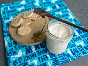 Requeijão sem lactose: aprenda opção rápida e saborosa com castanha-de-caju