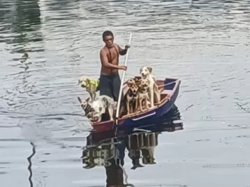 Homem que vive com sete cachorros num barco comove bairro do Rio de Janeiro