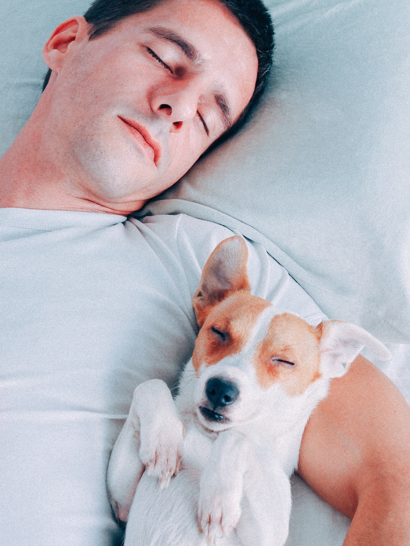 Deixar o cachorro dormir na sua cama é realmente uma boa ideia? - 24/03/2018