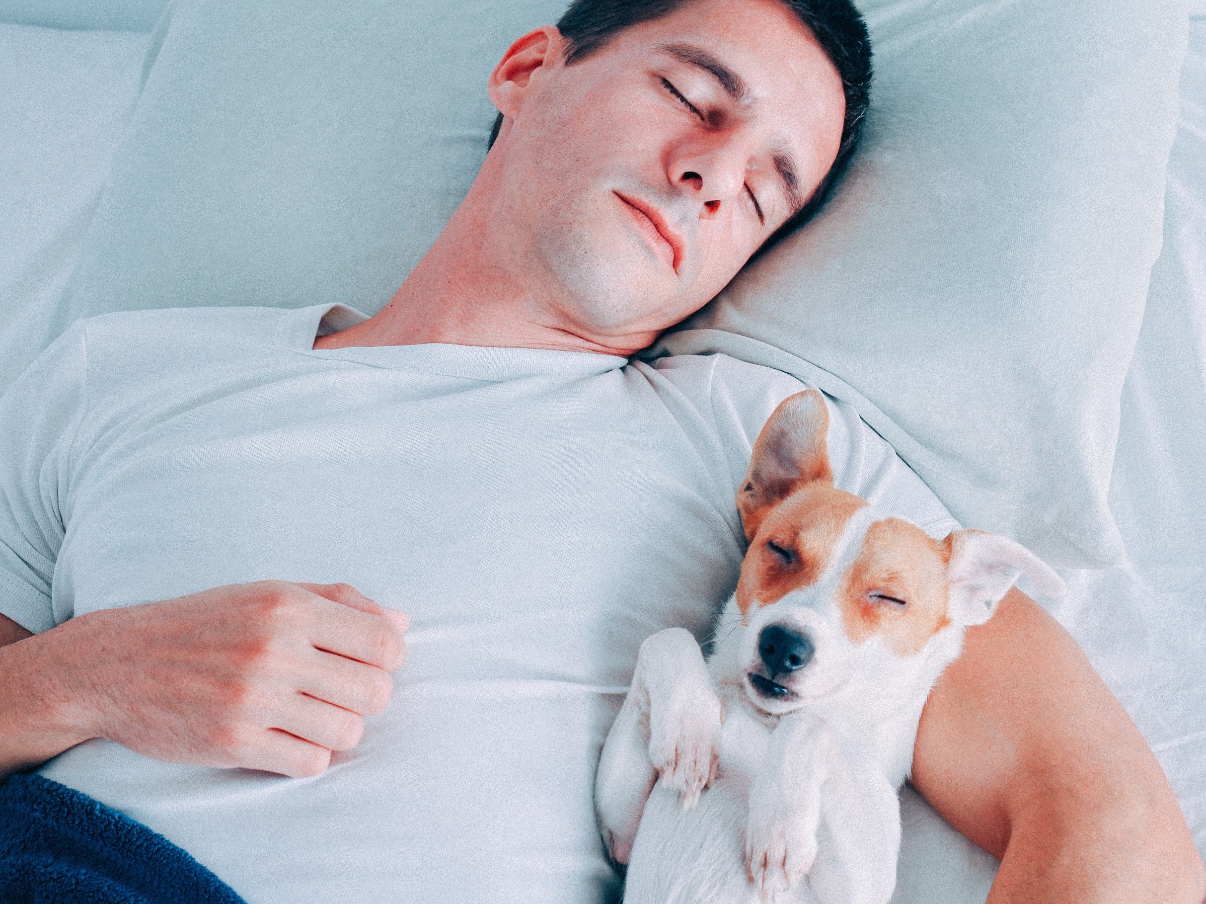 Mulheres brasileiras fudendo com cachorro