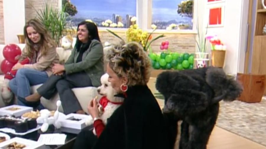 Cachorro faz xixi em Ana Maria Braga durante o "Mais Você" em 2006 - Reprodução/TV Globo