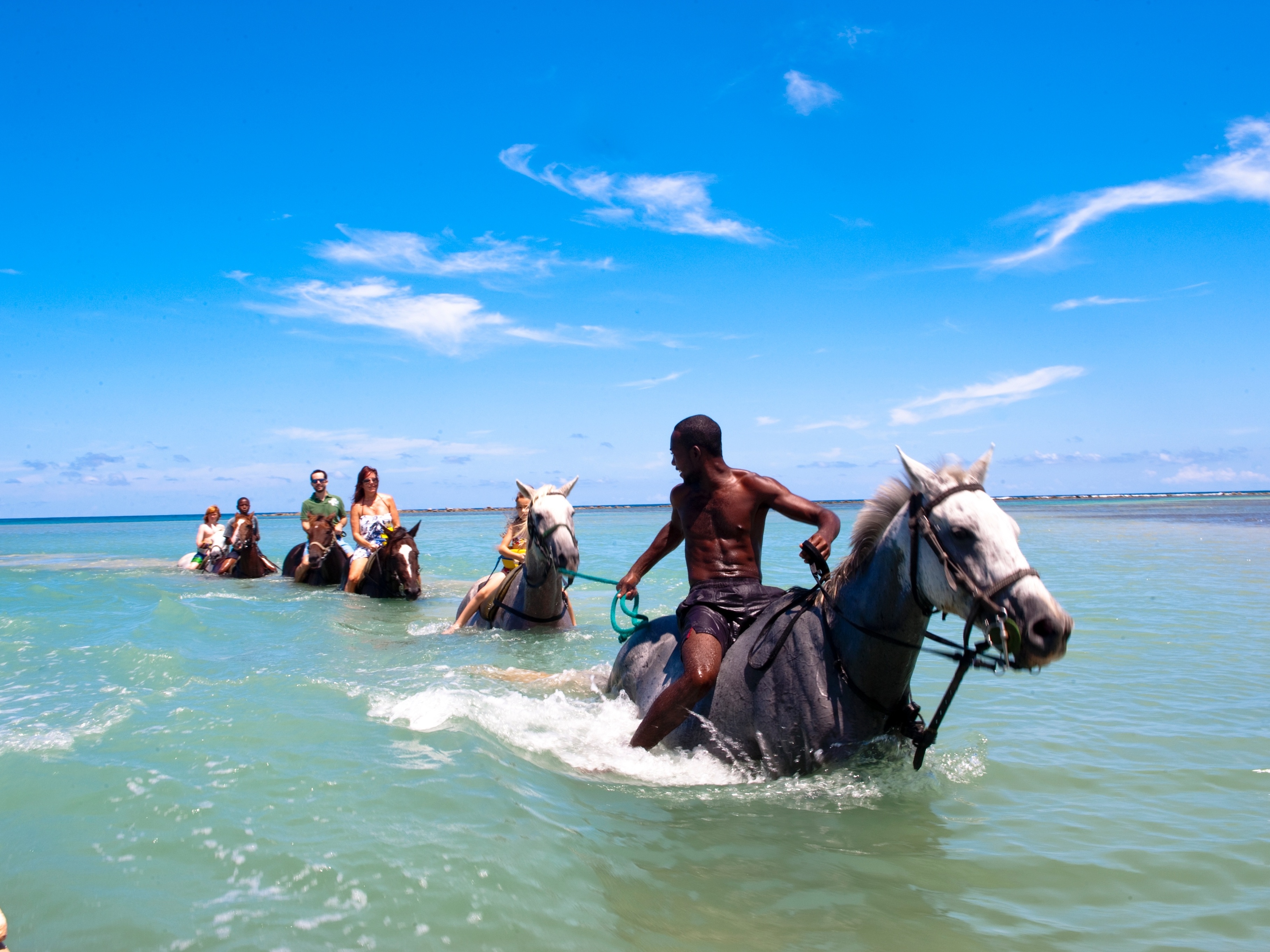 Um cavalo está em frente a uma porta com um fundo escuro e as palavras  cavalo na frente.