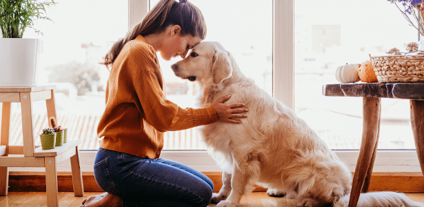 Seu cachorro tem a capacidade única de ler sua mente. Veja o porquê