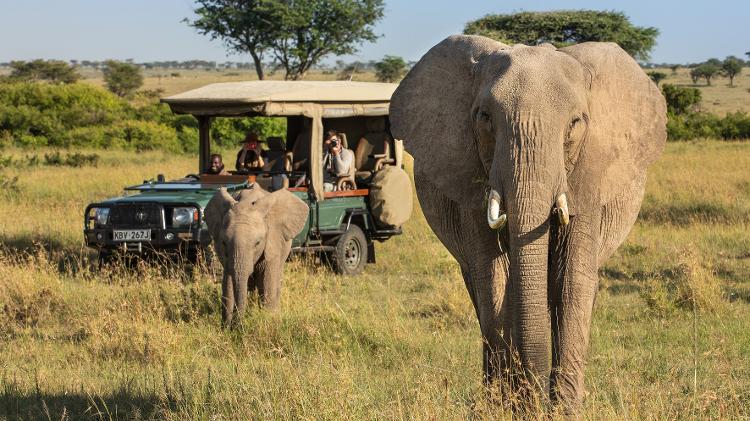 O turismo é visto como um método eficaz de prevenção à caça: gera renda local e envolve as comunidades na preservação - Great Plains Conservation