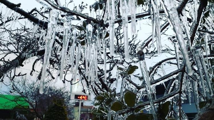 Frio em São Joaquim (SC) - Reprodução/Instagram/Prefeitura de São Joaquim (SC) - Reprodução/Instagram/Prefeitura de São Joaquim (SC)