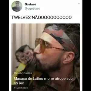 MACACOS ENGRAÇADOS - Os melhores memes de Macacos Engraçados