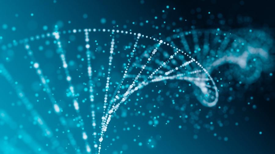 DNA pode conter mais informações do que apenas características físicas de espécies - iStock