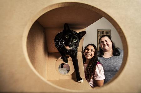Hotel só para gatos em São Paulo abriga pets na ausência dos tutores -  19/01/2022 - UOL Nossa