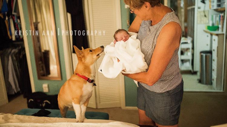 Corgi acompanha parto - Kristin Ann Photo - Kristin Ann Photo