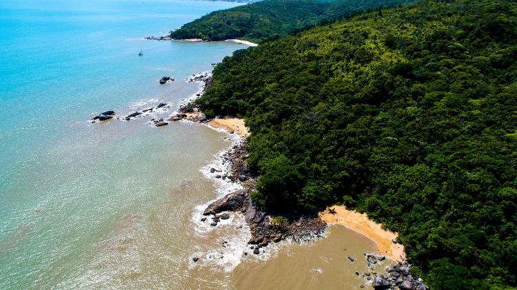 Parque Natural Municipal Costeira de Zimbros - Bombinhas (SC) - Divulgação