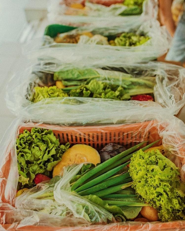 Cesta de alimentos do projeto Orgânico Solidário - Divulgação - Divulgação