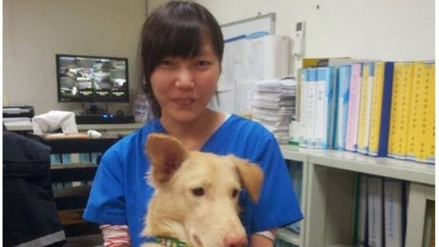 Chien se matou em maio do ano passado usando a mesma droga que dava aos animais ao sacrificá-los - Arquivo pessoal