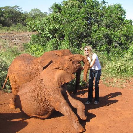 Gisele e elefante - Reprodução/Instagram - Reprodução/Instagram