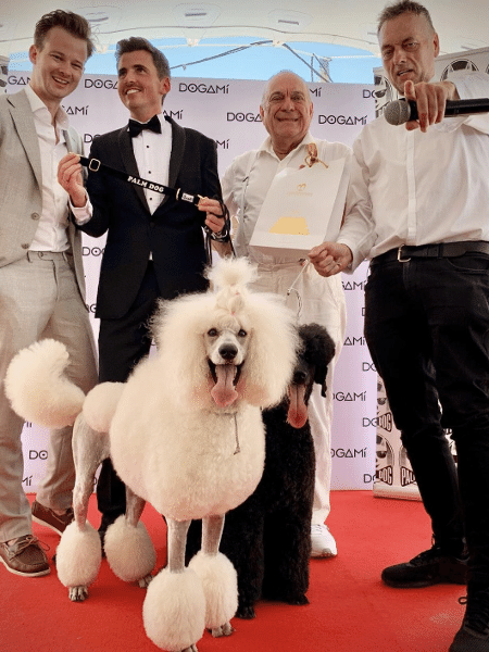 A poodle Britney foi representada por uma "colega" no seu momento de glória em Cannes. O prêmio foi apresentado pelo ator Jean Christophe Bouvet da série "Emily em Paris" - Reprodução/Instagram