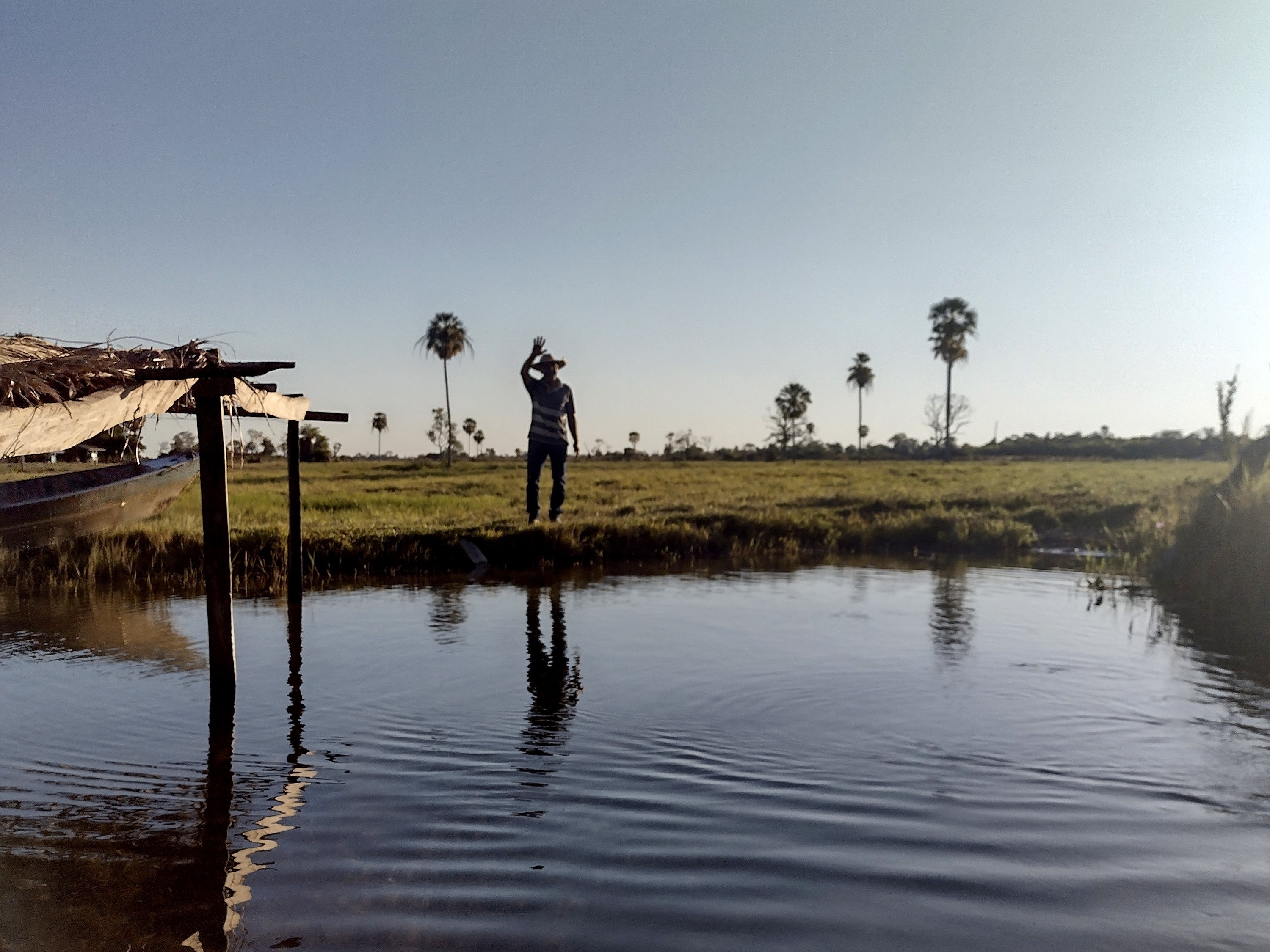 Isolado no Pantanal, fazendeiro luta para evitar alagamento e vacas 'subaquáticas'