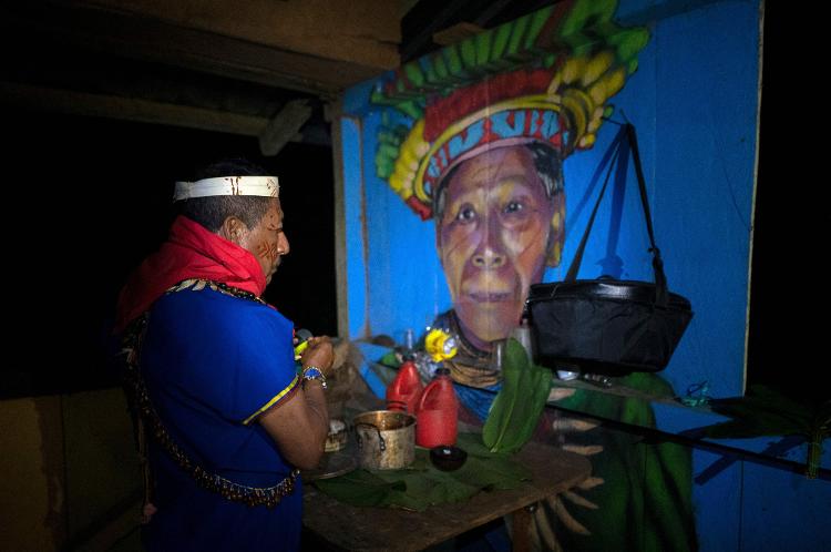 Isidro Lucitante, curandeiro da etnia Cofan se prepara para a cerimônia de Yagé (Ayahuasca) no vilarejo de Avie, em Lago Agrio, na Amazônia equatoriana em janeiro de 2023 - PEDRO PARDO/AFP - PEDRO PARDO/AFP