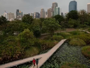 Cidades-esponja: como preparar áreas urbanas para a crise climática