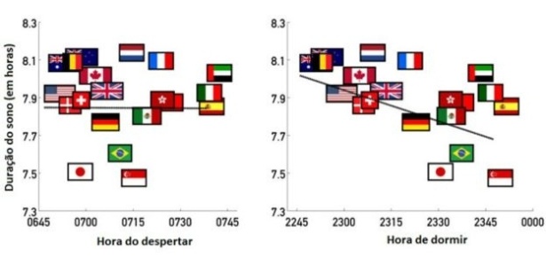 Gráfico da pesquisa sobre sono da Universidade de Michigan, EU - Daniel Forger/Reprodução - Daniel Forger/Reprodução