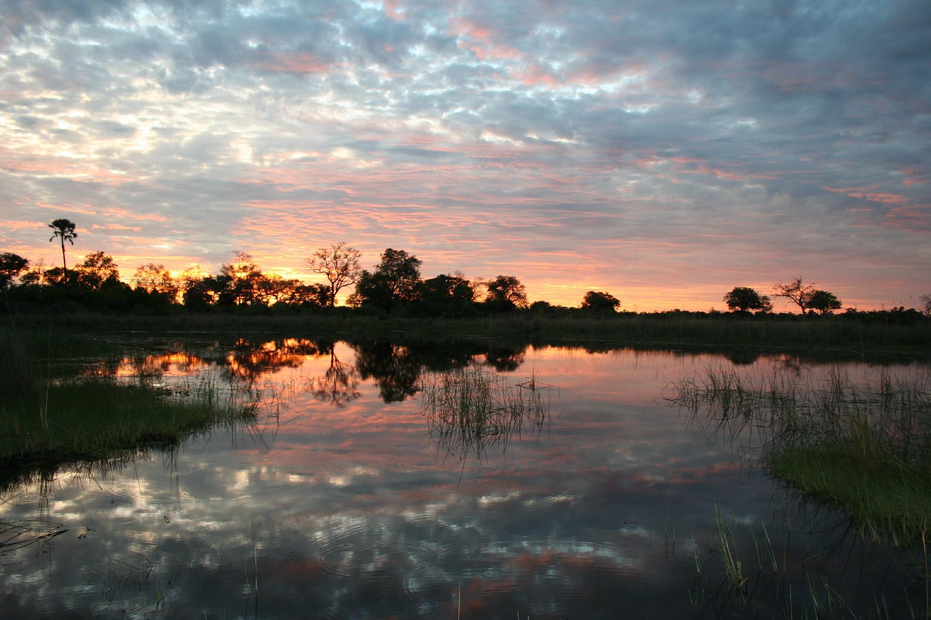 Um delta praticamente intocado, Okavango é um espetáculo natural. É bem no interior do continente africano e apresenta ao turista as diversas faces do ecossistema do país.  -  Jon Rawlinson/ Flickr