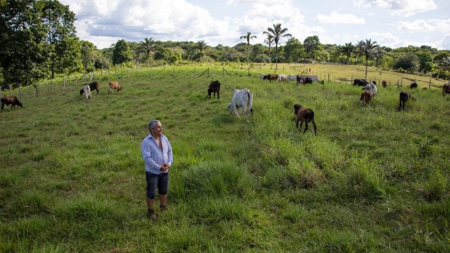 Criador de gado no Médio Solimões há quase 30 anos, Otacílio Soares Brito adotou o sistema de Pastoreio Racional Voisin (PRV). Sua fazenda Ágda tornou-se uma referência para criadores da região - Amanda Lelis