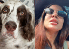 Anitta encontra Charlie, seu cachorro, após sumiço no Natal - Reprodução/Instagram