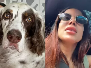 Anitta encontra Charlie, seu cachorro, após sumiço no Natal