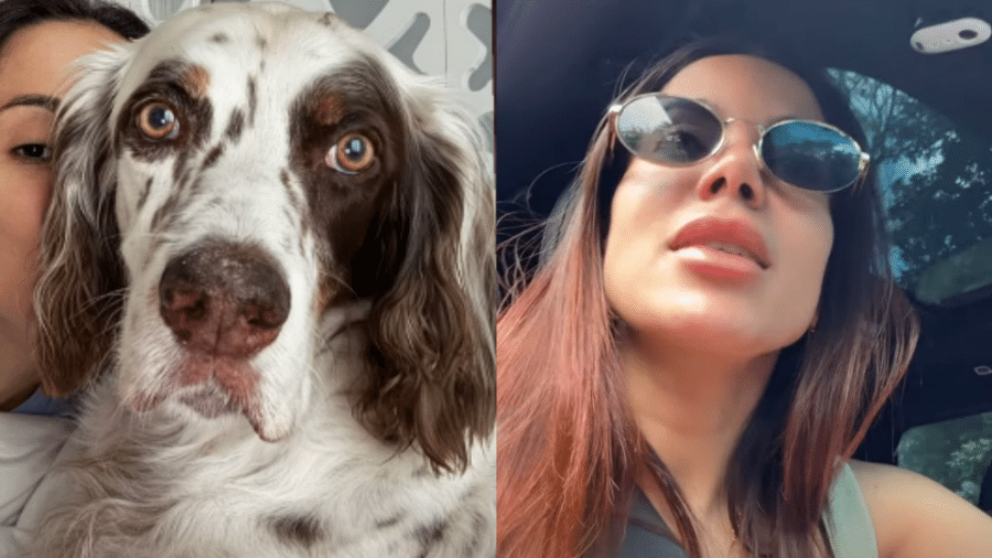 Anitta encontrou o cachorro na manhã desta quarta (25) - Reprodução/Instagram