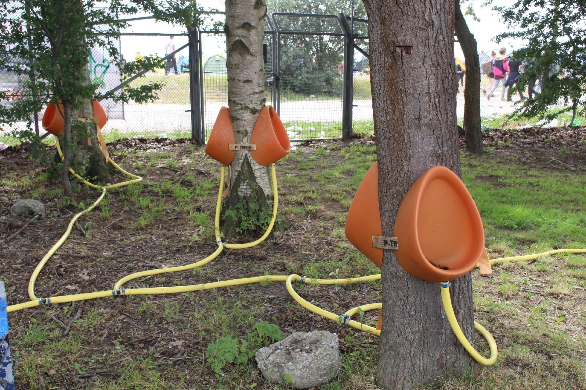 Sem desculpas para os mijões. No restival de Roskilde, quem quiser urinar nas árvores tem que acertar o alvo - Felipe Branco Cruz/UOL