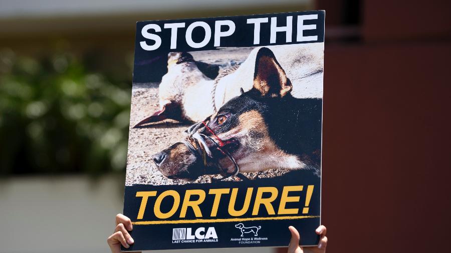 Cartaz de protesto contra o consumo da carne de cachorro - Getty Images