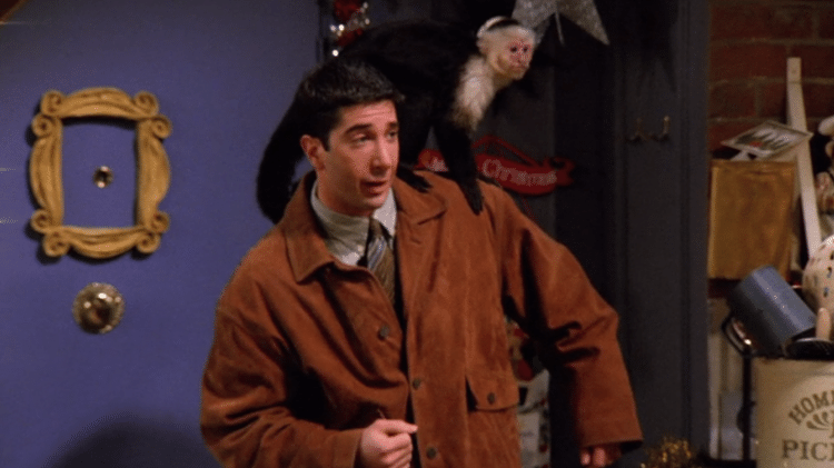 Ross e o macaco Marcel em cena de "Friends" - Reprodução - Reprodução